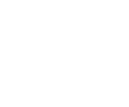Evolution games at Big Spin Casino